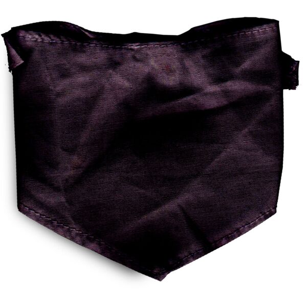 Douglas Large Bandana Thumbnail